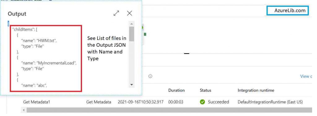 GetMetaData Activity ChildItems Output