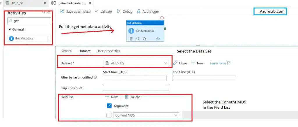 GetMetaData Activity Get the MD5 of File 